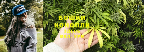 PSILOCYBIN Абдулино
