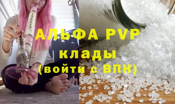 гашик Саяногорск