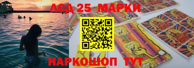 шишки Бердск