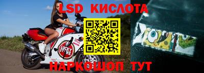 шишки Бердск