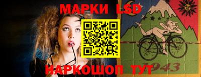 шишки Бердск