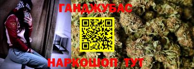 шишки Бердск