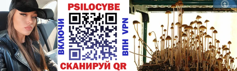 купить наркоту  Моршанск  Псилоцибиновые грибы Magic Shrooms 